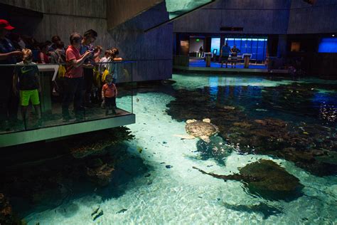 is the national aquarium open