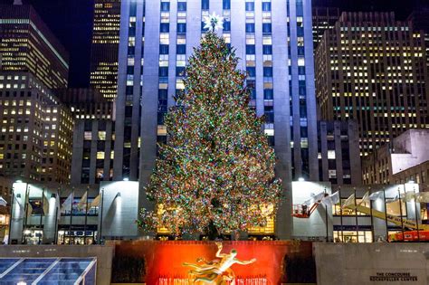 Is The Rockefeller Tree One Tree