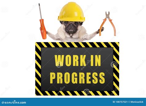 Is The Saying Work In Progress