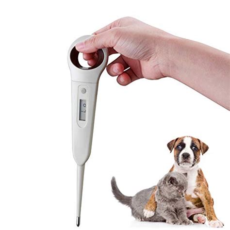 Is There A Difference Between A Human Thermometer And A Dog Thermometer