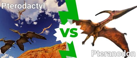 is there a difference between a pteranodon and a pterodactyl