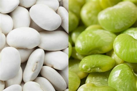 Is There A Difference In Lima Beans And Butter Beans