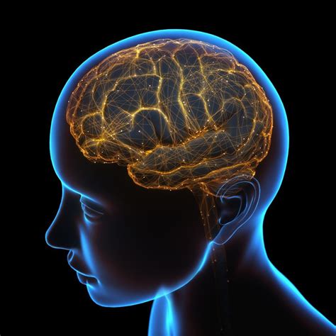 is there a limit to brain memory