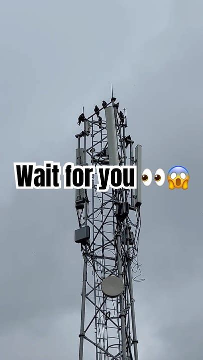 is there a problem with jio network