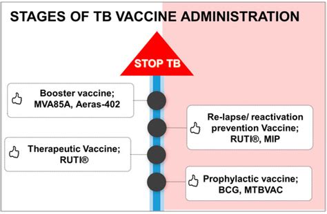 Is There a TB Shot? Your Guide to Tuberculosis Vaccination Options