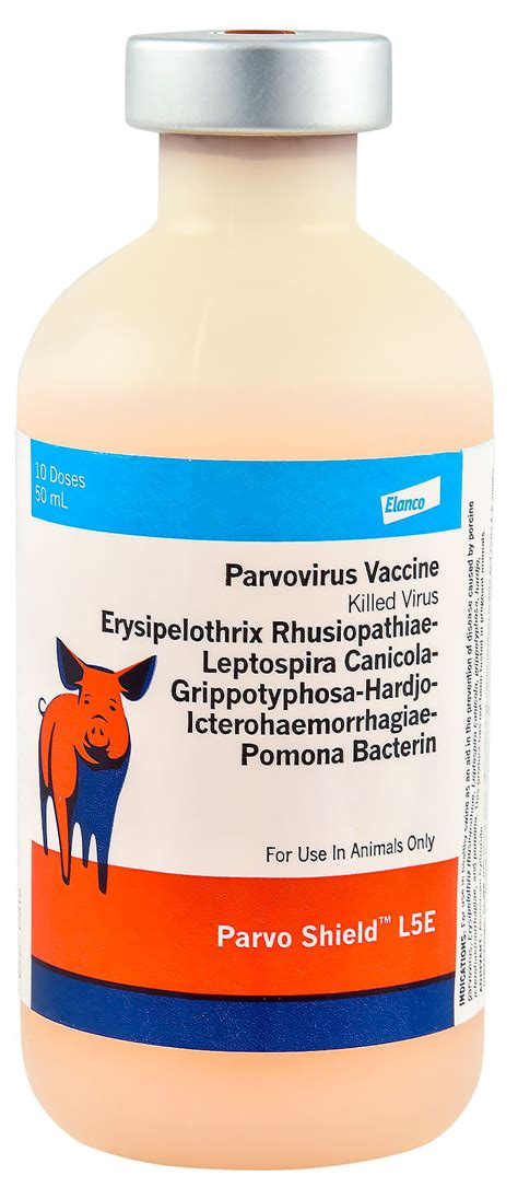 is there a vaccine for parvovirus b19