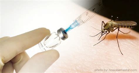 is there any vaccination for dengue fever