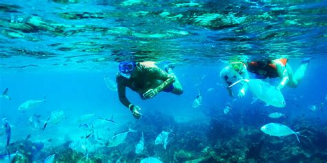 is there good snorkeling in punta cana