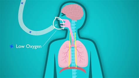 Is There Less Oxygen In Basements