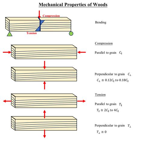 Is Timber Strong In Compression