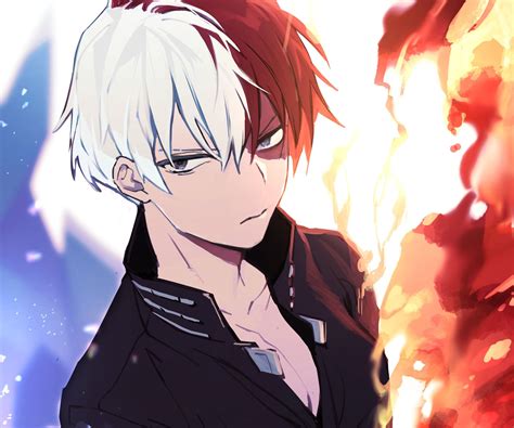 Is Todoroki Attractive