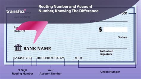 is transit number and account number the same