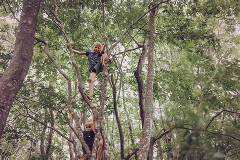 Is Tree Climbing Dangerous