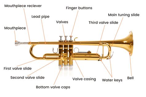is trumpet good for beginners