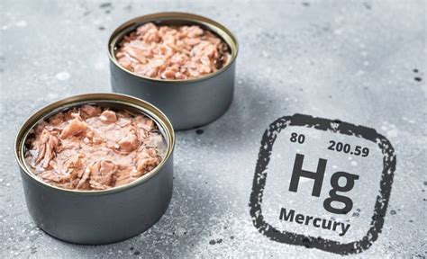 Is Tuna Fish In A Can High In Mercury