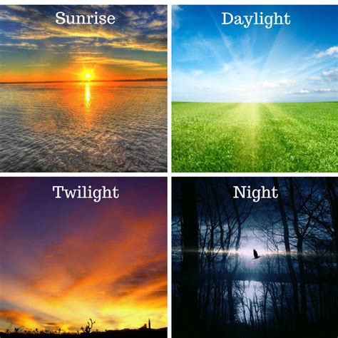 is twilight day or night