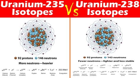 is u-235 or u-238 more radioactive