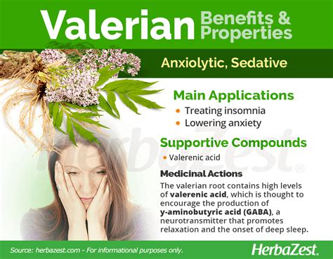 Is Valerian Effective