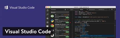 is visual studio code an ide or text editor