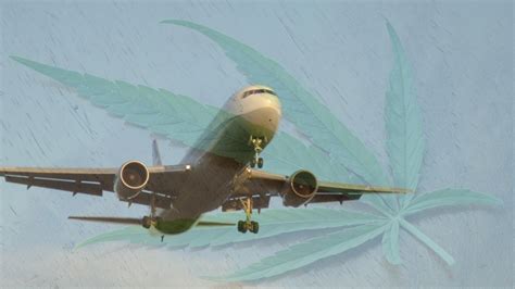 is weed allowed on planes