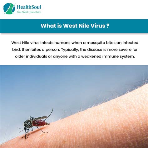 is west nile virus an infectious disease