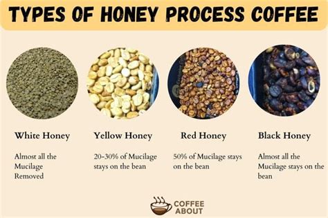 Is White Honey Processed