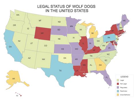 Is Wolf Dog Illegal