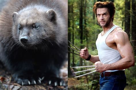 is wolverine character canadian