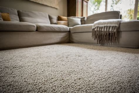 Is Wool Carpet Long Lasting