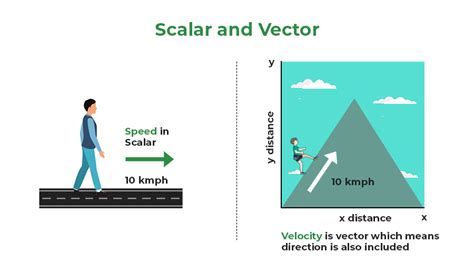 Is Work A Scalar Or A Vector Quantity Give Reason