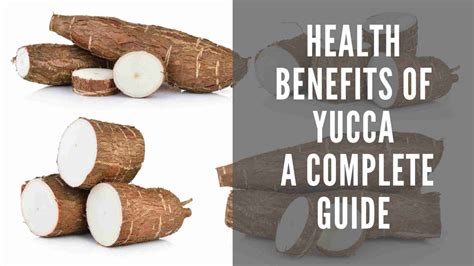 is yuca good for your health