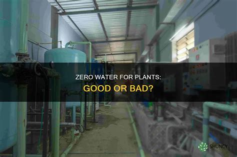 Is Zero Water Any Good