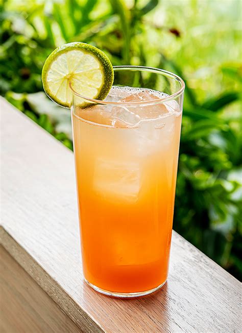 Lemon Lime and Bitters Recipes by Carina