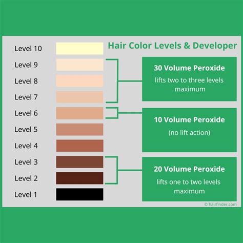 Is peroxide the same as developer?