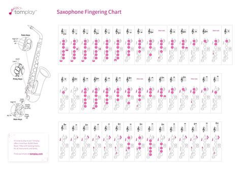 How to Play Alto Saxophone Notes for Beginners 2024