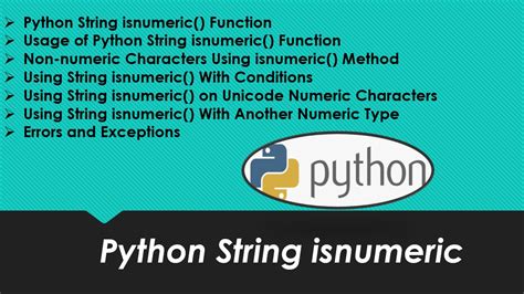 isnumeric python example