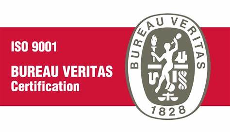 Bureau Veritas ISO 9001 logo Certification