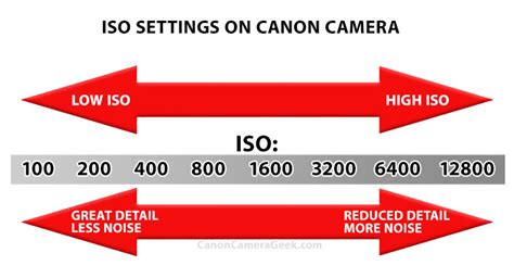 ISO en Fotografía Cómo Usarlo Correctamente [Actualizado]
