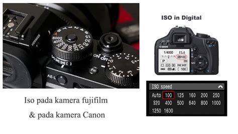 ISO dan Pengaturan Kebisingan pada Kamera Canon