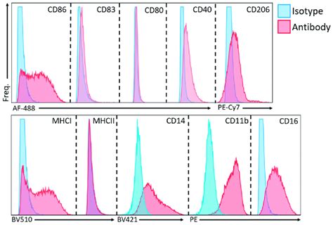 isotype controls flow cytometry