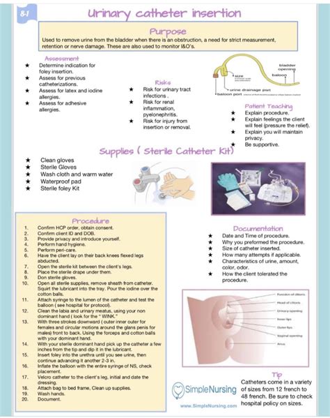 Ispd Catheter Insertion Guidelines