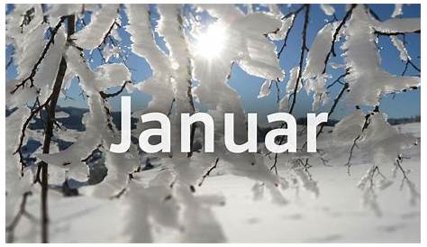 Tage im Januar | Januar, Bilder fasching, Kalendersprüche
