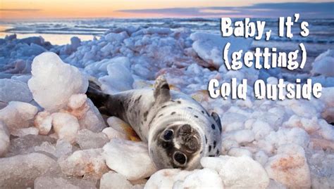 it's getting cold outside