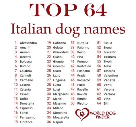 Italian Dog Names for Female