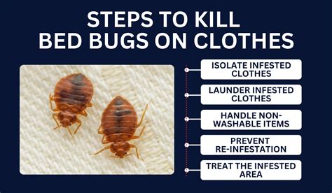 Itchy Clothes Bed Bugs