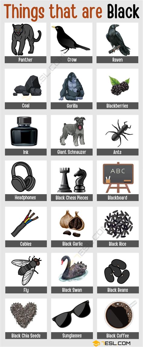Items That Start With Black
