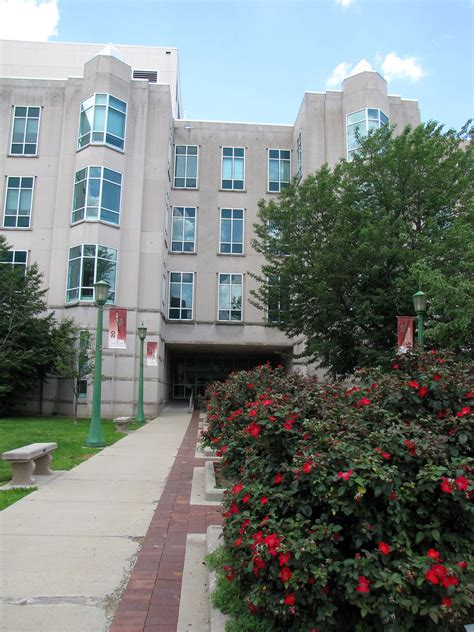 iu library home page