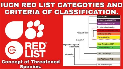 iucn red list classification