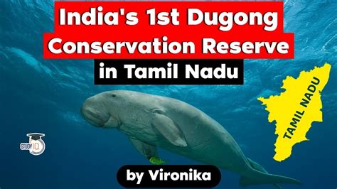 iucn status of dugong in india