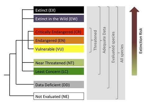 iucn threat classification scheme